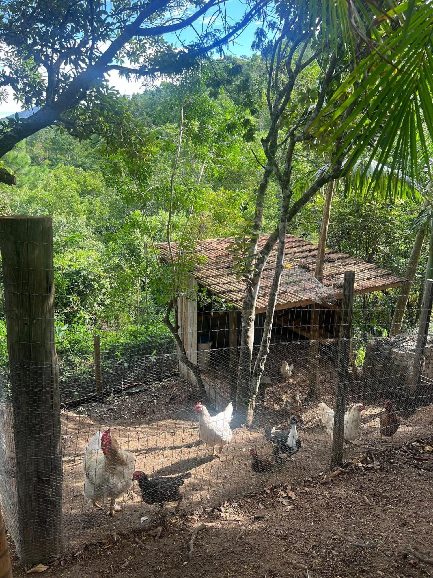 Holiday home Vista Incrivel! Chale Com Hidromassagem! Fu01i Governador Celso Ramos